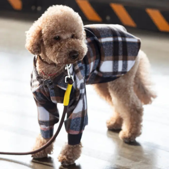 Сорочка для собак у клітинку моко Dogs Bomba літній одяг для собак на кнопках 5 Одеса
