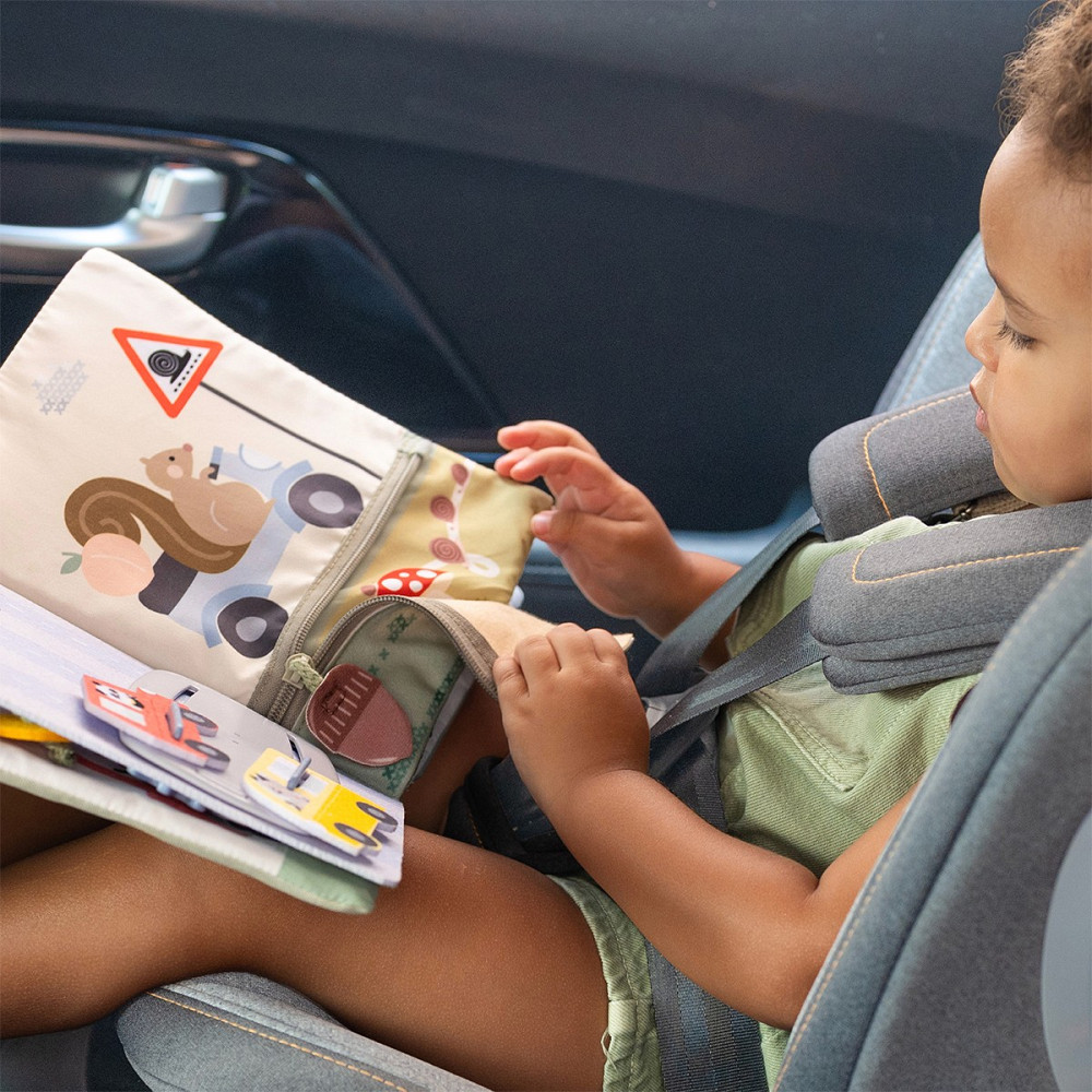 Центр, що розвиває, для автомобіля – Книжка мандрівника Днепр - изображение 10