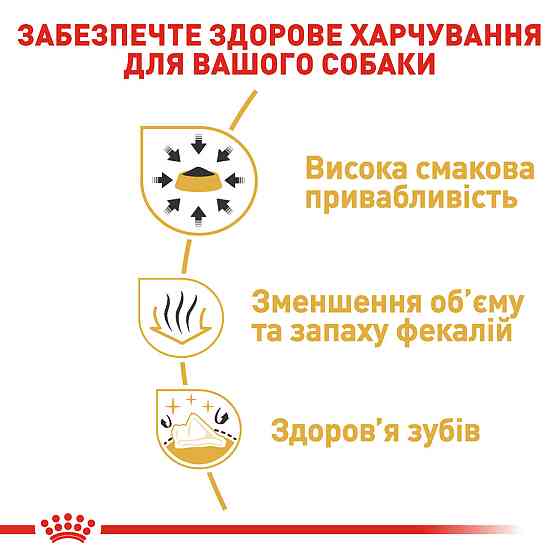 Корм для дорослих собак породи Чихуахуа ROYAL CANIN CHIHUAHUA ADULT 0.5 кг Київ