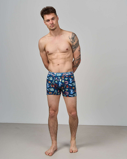 Боксеры мужские Tom John - Кактусы 2200-17 XXL Киев - изображение 1