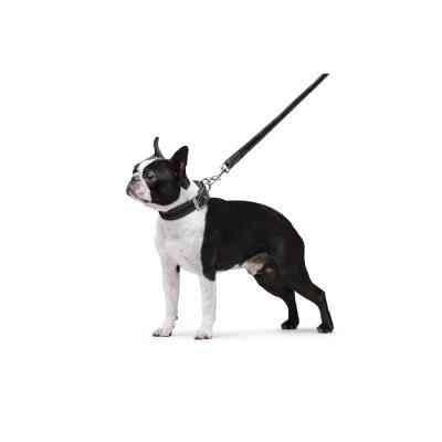 Повідець для собак Dog Extreme з нейлону подвійний Ш 20 мм Д 122 см чорний (42981) Вінниця