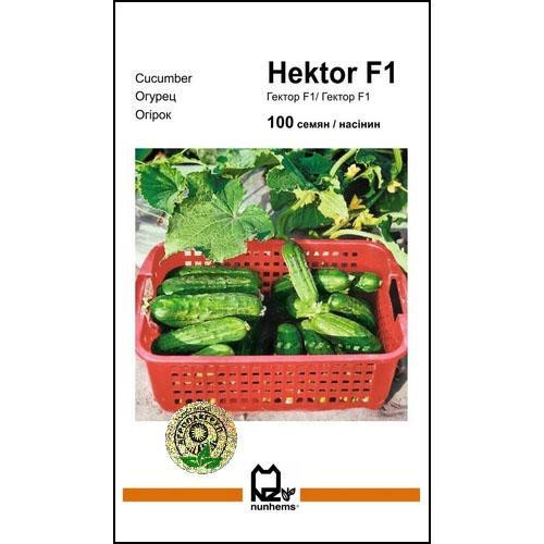 Насіння огірка Гектор F1 50 сем., Nunhems, Голандія Вінниця - фото 1