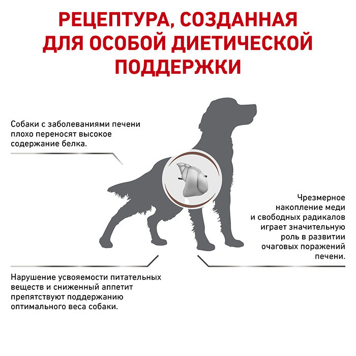 Royal Canin Hepatic (Рояв Канін Гепатик) сухий корм для собак при захворюваннях печінки 1.5 кг. Запоріжжя - фото 4