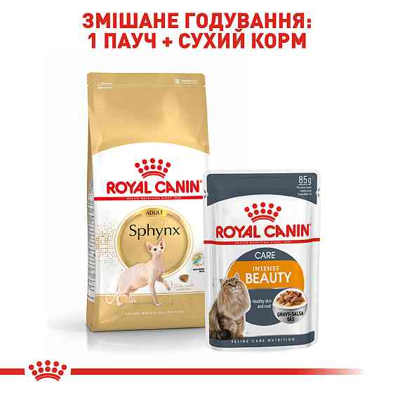 Корм для дорослих котів породи Сфінкс ROYAL CANIN SPHYNX ADULT 10.0 кг Київ