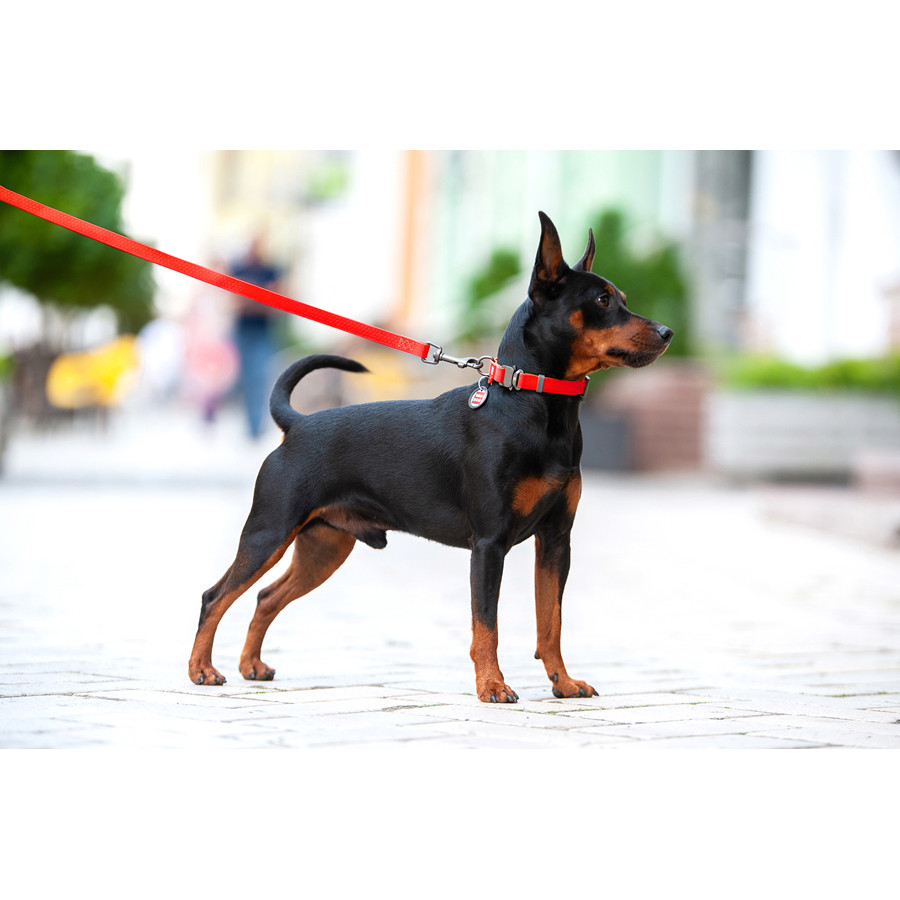 Нашийник для собак водостійкий WAUDOG Waterproof c QR паспортом, металічна пряжка-фастекс, Ш 25 Коломыя - изображение 6