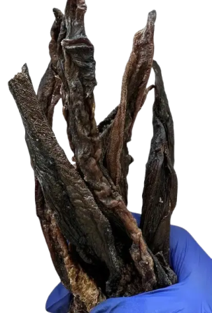 Натуральні ласощі для собак сушений яловичий язичок "Bethowen" (Бетховен) Запоріжжя
