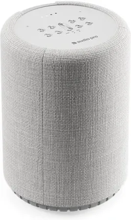 Портативная колонка Audio Pro G10 Jasnoszary Киев