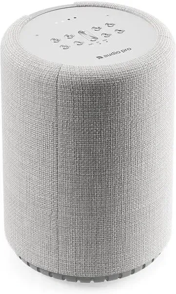 Портативная колонка Audio Pro G10 Jasnoszary Киев - изображение 1