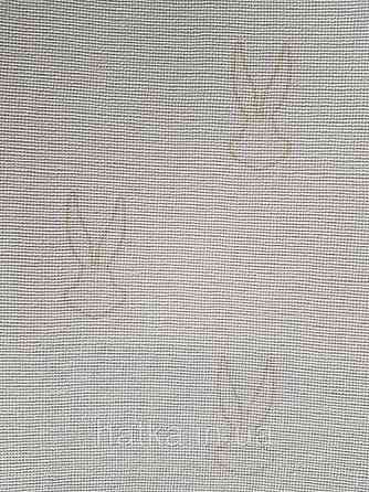 Обои виниловые на флизелине AdaWall Ada Kids метровые детские герои мультфильмов кролик на светло бежевом Киев