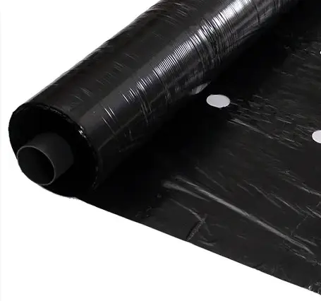 Плівка 30 мкм 0.8м* 1000м плівка чорна для мульчування перфорована Дніпро