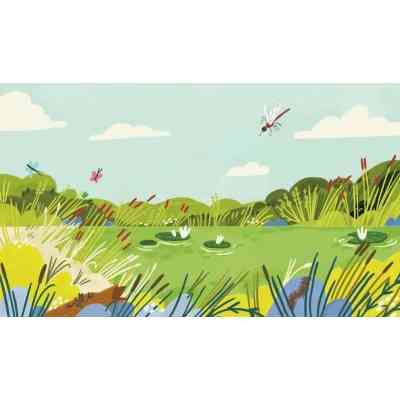 Книга Тиранозавр Рекс - Юля Смаль Видавництво Старого Лева (9789664483824) Вінниця