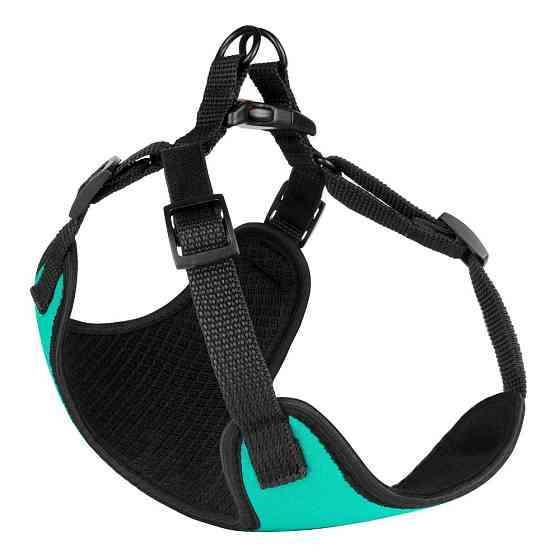 М’яка шлейка для собак маленьких порід, шлячи для дрібних порід Неопрен 3D Сітка бірюзова Одеса