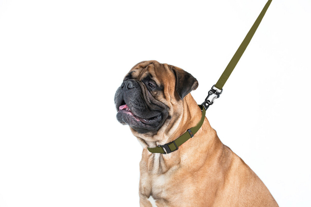 Повідець EVOLUTOR, Ш 25 мм, Дов 300 см, хакі Київ - фото 4