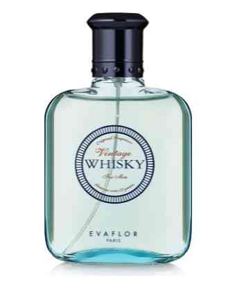 Туалетная вода мужская Whisky Vintage Evaflor 100 мл Виски винтаж Запорожье
