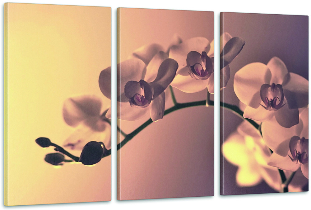 Модульная картина Орхидея  (53x100см)  Art-1_3А Киев - изображение 1