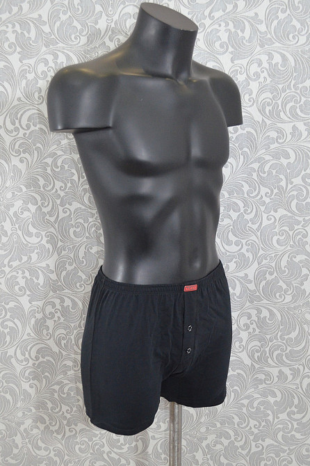 Трусы мужские семейные 100% хлопок Lans 01/004 4XL Киев - изображение 1