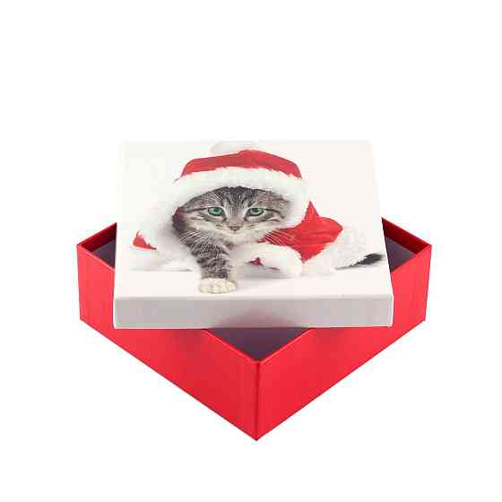 Коробка подарункова ООТВ Santa Cat 16 х 16 х 8 см Рівне