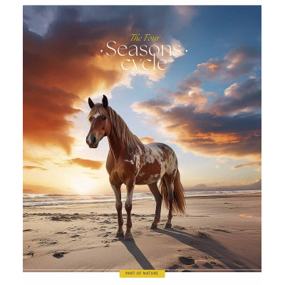 Зошит Школярик Four seasons 60 аркушів клітинка (060-3403K) Вінниця - фото 3