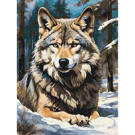 Картина за номерами "Вовк у лісі" 11575-AC 40х50 см Вінниця