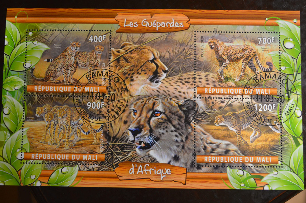 Мали. Марки. Фауна. Блок. 2020 год (В-2) Полтава - изображение 1