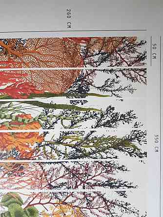 Обои виниловые  Lutece Bensimon панно 260х350 см панно море водный мир аквариум кораллы водоросли на белом Киев