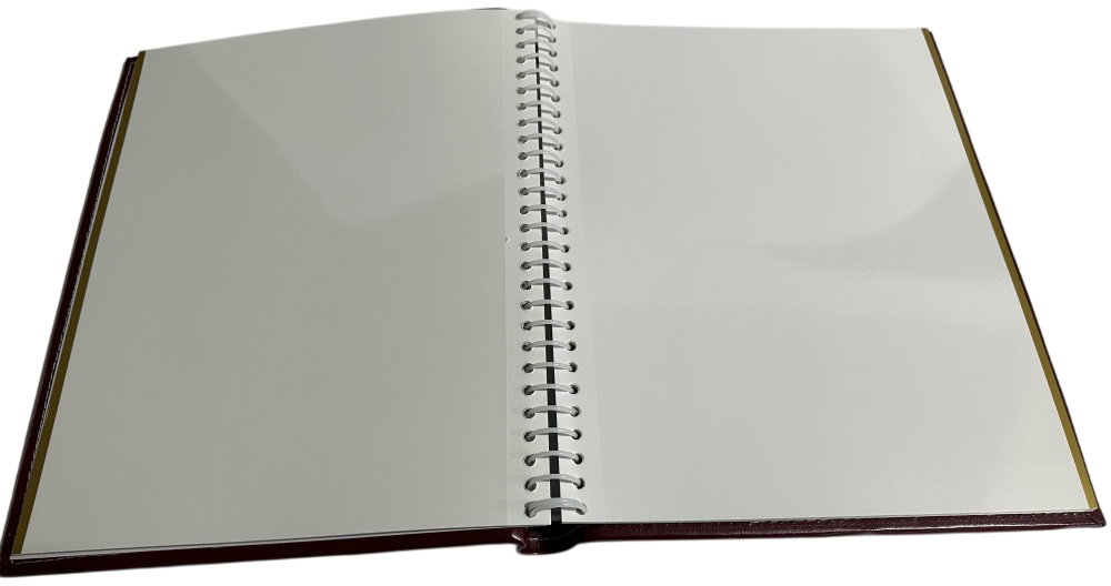 Фотоальбом UFO 20sheet S22x32 Bird (6979071) Київ - фото 2