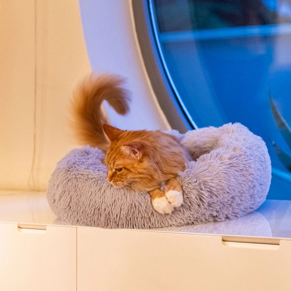 Лежак — ліжко для собак і кішок Ferplast Cuddly (Ферпласт Кавалі) Запоріжжя - фото 5
