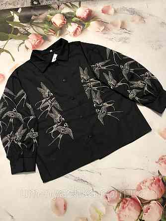 Біла сорочка з вишивкою Ластівки 134-152 Кривий Ріг