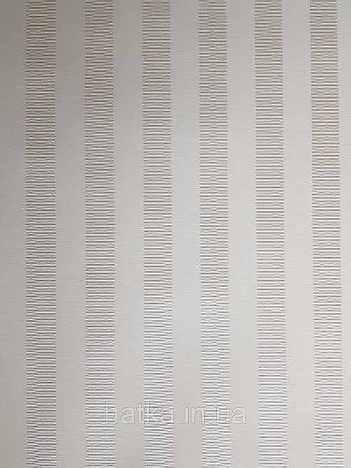 Шпалери вінілові на флізеліні Rasch Trianon Xlll 0.53х10 класика структурні смуги білі сріблясті Київ - фото 3