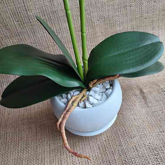 Штучна латексна орхідея VIP у білому керамічному кашпо на дві гілки блакитна Дніпро