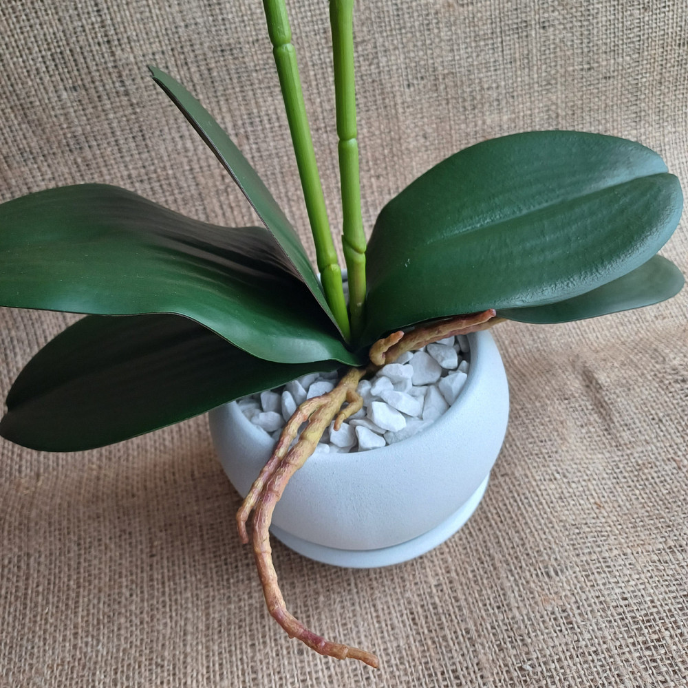 Штучна латексна орхідея VIP у білому керамічному кашпо на дві гілки блакитна Дніпро - фото 5