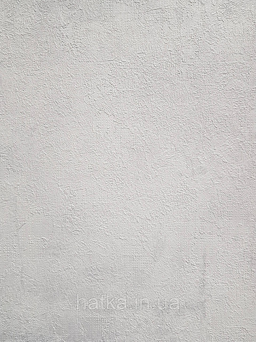 Шпалери вінілові на флізеліні A.S.Creation Sylvana 1.06x10 під штукатурку під бетон світло-сірий 79139-3 Київ - фото 3
