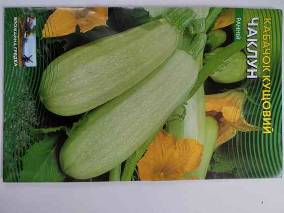 Кабачок кустовой 