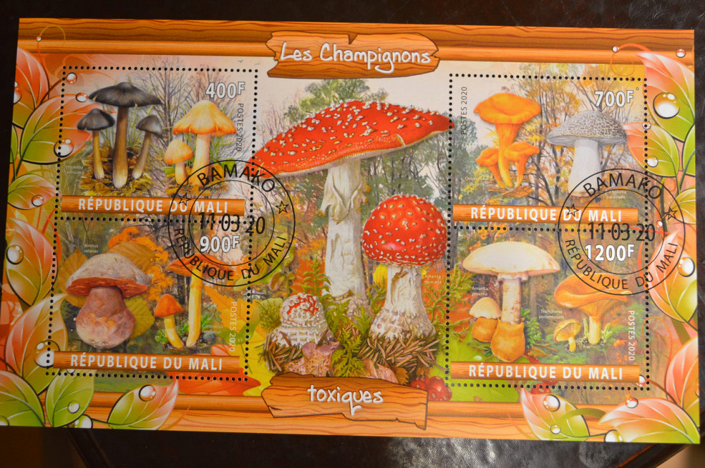 Мали. Марки. Фауна. Блок. 2020 год (В-2) Полтава - изображение 1