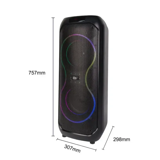 Беспроводная караоке-колонка с двумя микрофонами SPS ZQS8255 Коломыя