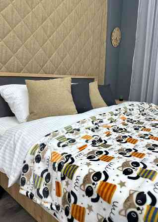 Плед-покривало Decorator WellSoft RACCOON 200х205 см з принтом "Єноти" (87-193) Київ