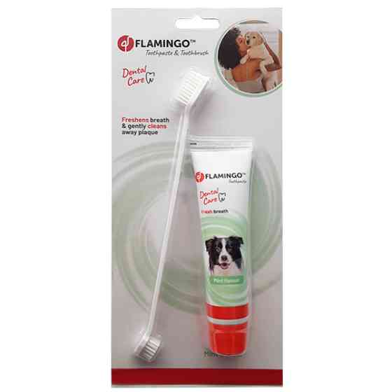 Flamingo Petcare Toothpaste + Toothbrush ФЛАМИНГО ЗУБНАЯ ПАСТА И ЗУБНАЯ ЩЕТКА для собак, набор Киев