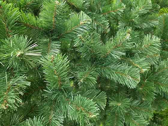 Штучна зелена ялинка ПВХ Карпатська казка 1.8 Одеса