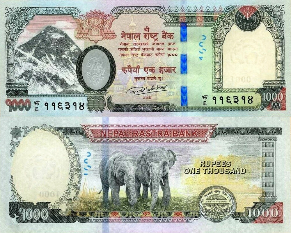 Nepal / Непал 1000 рупий 2019 (Pick 82) Полтава - фото 1