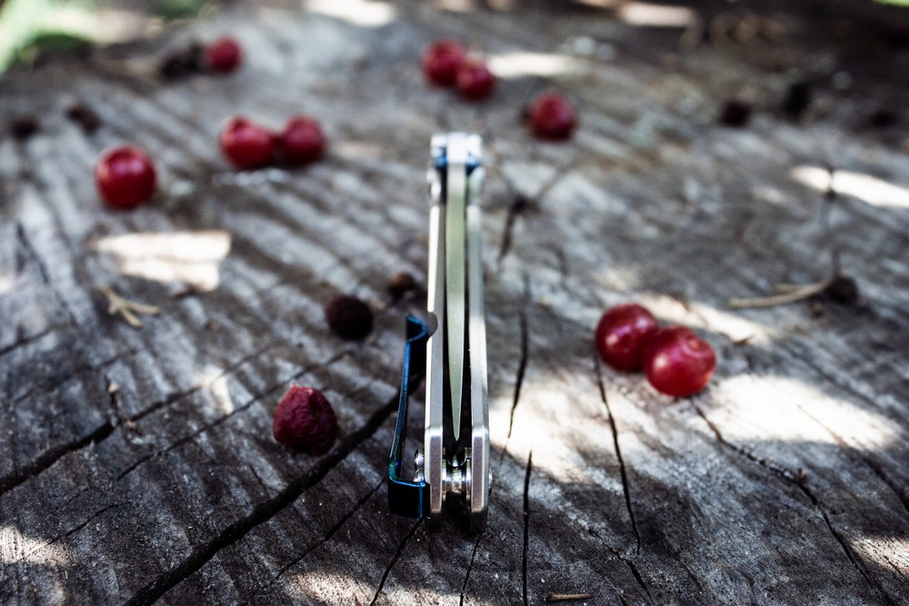 Ніж складаний туристичний Ruike P801-SF, (8.6 см) 14C28N / 3cr14n сірий Киев - изображение 5