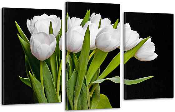 Модульна картина кольору Тюльпани (53x100sм) Art-86_3 100x150 см Київ