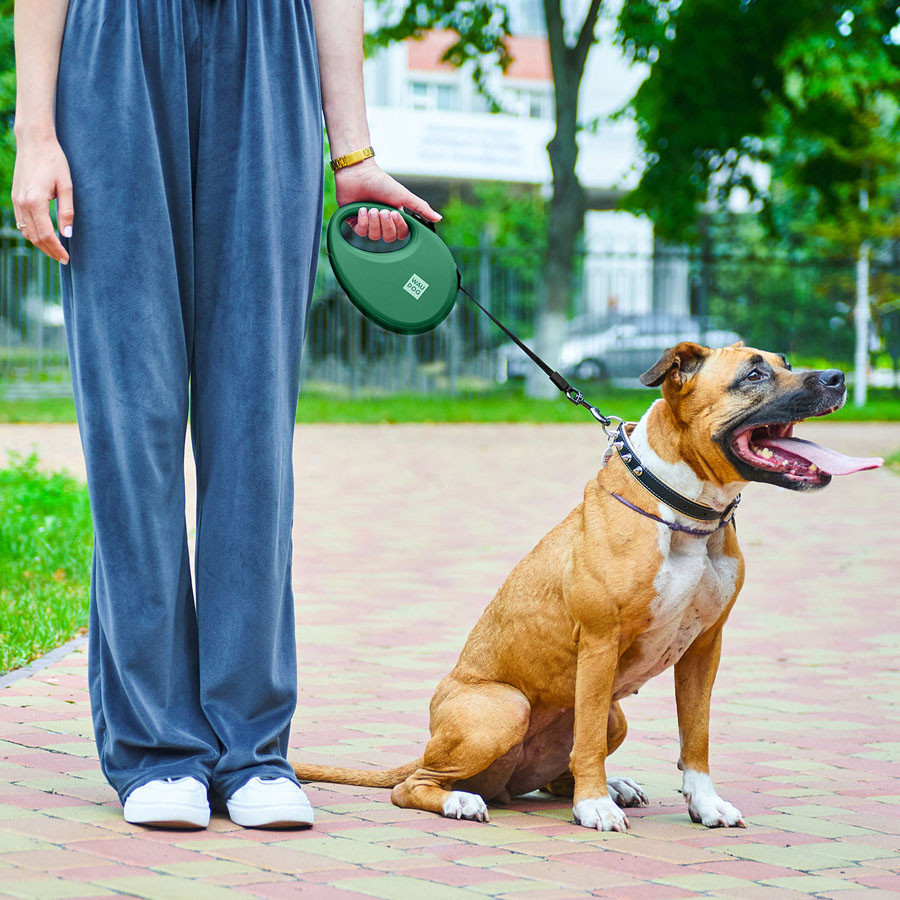 Поводок-рулетка для собак WAUDOG R-leash с контейнером для пакетов, светоотражающая лента, L, до 40 кг, 5 м, зеленый Киев - изображение 8