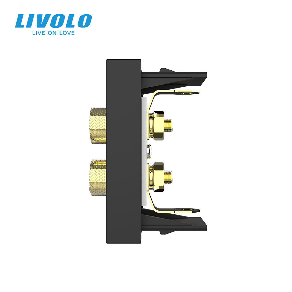 LIVOLO Аудіо розетка LIVOLO Banana Plug, чорна, для колонок / підсилювача, модуль 0.5 поста (VL Коломия - фото 5