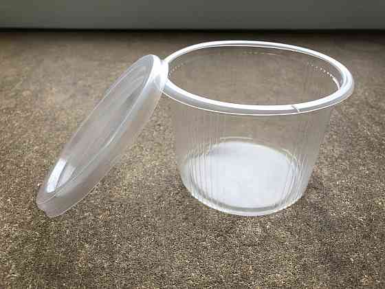 Одноразовый судок с крышкой 250 мл сметанник Павлоград