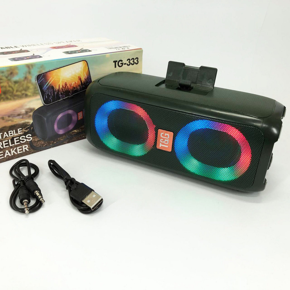 Колонка для домашньої вечірки TG333, Колонка портативна акумуляторна для вечірок на дачі DW-67 Львів - фото 14