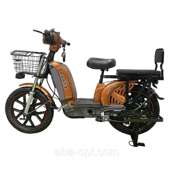 Электровелосипед EM 219WS Forte 800W-60V-12А/ч шины 17«-17» купить в интернет магазине Одесса