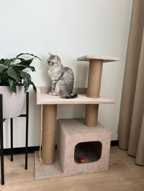 Когтеточка с домиком и лежанкой для кота, Домик для кота, 85×55×35 см Киев - изображение 4