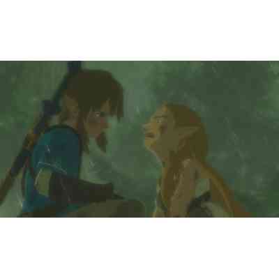 Игра Nintendo The Legend of Zelda: Breath of the Wild, картридж (045496420055) Винница