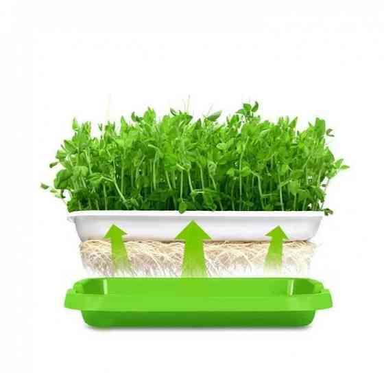 Лоток для гидропонного выращивания растений Винница