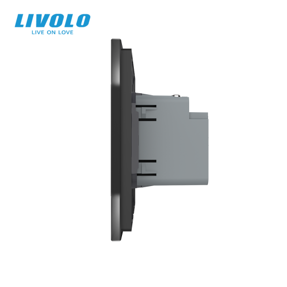 LIVOLO Розетка USB Type-C з Power Delivery 45W LIVOLO чорна матова скло Коломия